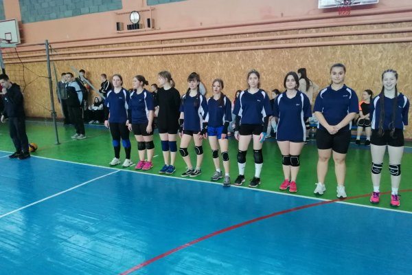 першість з волейболу серед дівчат