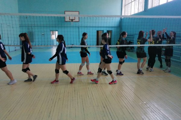 першість з волейболу серед дівчат