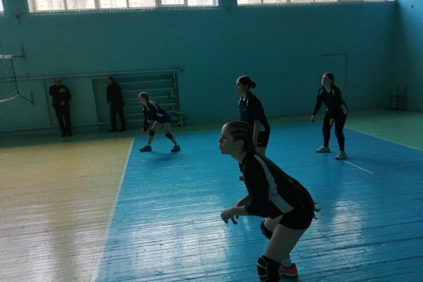 першість з волейболу серед дівчат