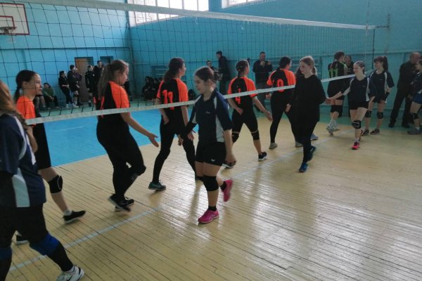 першість з волейболу серед дівчат