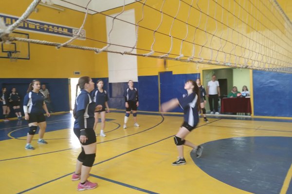 змагання з волейболу серед дівочих команд закладів фахової передвищої освіти