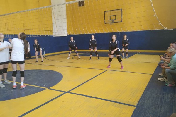 змагання з волейболу серед дівочих команд закладів фахової передвищої освіти