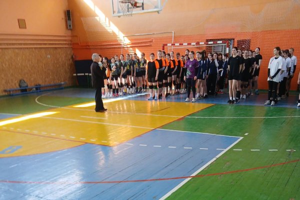 змагання з волейболу серед дівочих команд